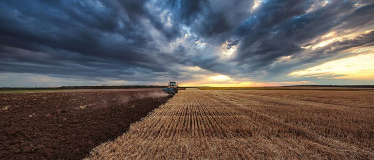 Lee más sobre el artículo El campo en México, un sector abandonado