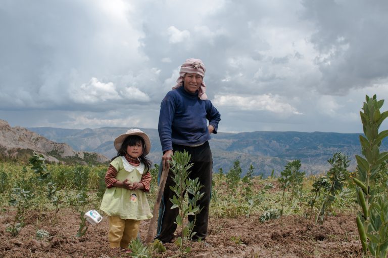 Lee más sobre el artículo El boom internacional de la quinua ha generado desequilibrios socioambientales en Bolivia