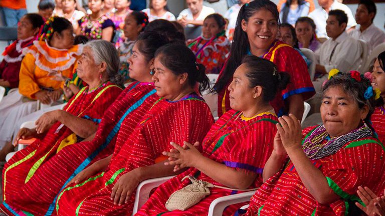 Lee más sobre el artículo Pueblos indígenas pueden curar crisis ambiental