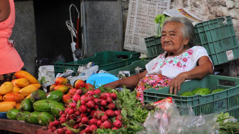 Lee más sobre el artículo Agrodiversidad y alimentación saludable en México