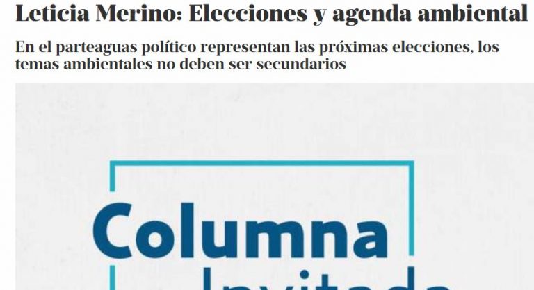 Lee más sobre el artículo Elecciones y agenda ambiental