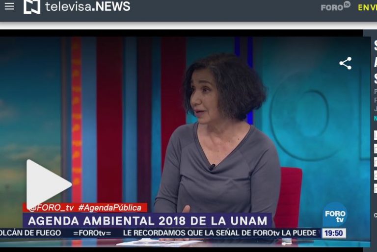 Lee más sobre el artículo Se invierte poco en la agenda ambiental, señala Leticia Merino