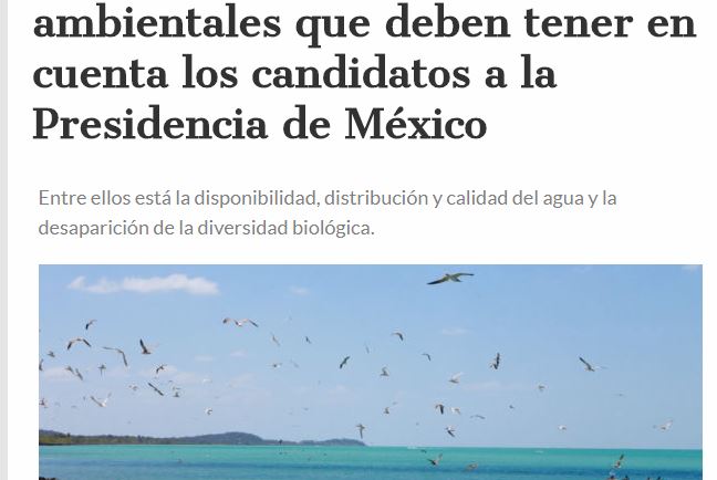 Lee más sobre el artículo Los 8 grandes temas ambientales que deben tener en cuenta los candidatos a la Presidencia de México