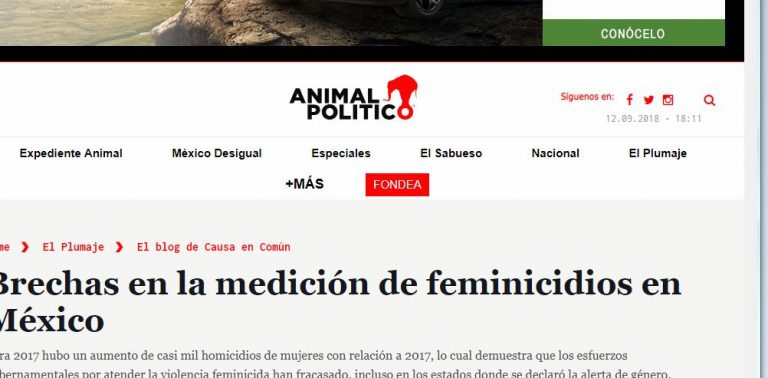 Lee más sobre el artículo Brechas en la medición de feminicidios en México