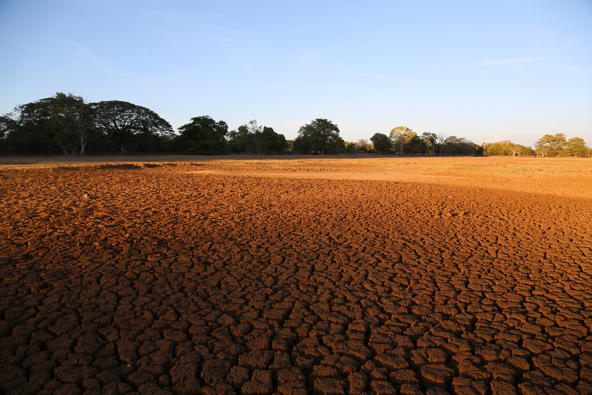 Lee más sobre el artículo El cambio climático constituye un reto para la investigación científica transdisciplinar