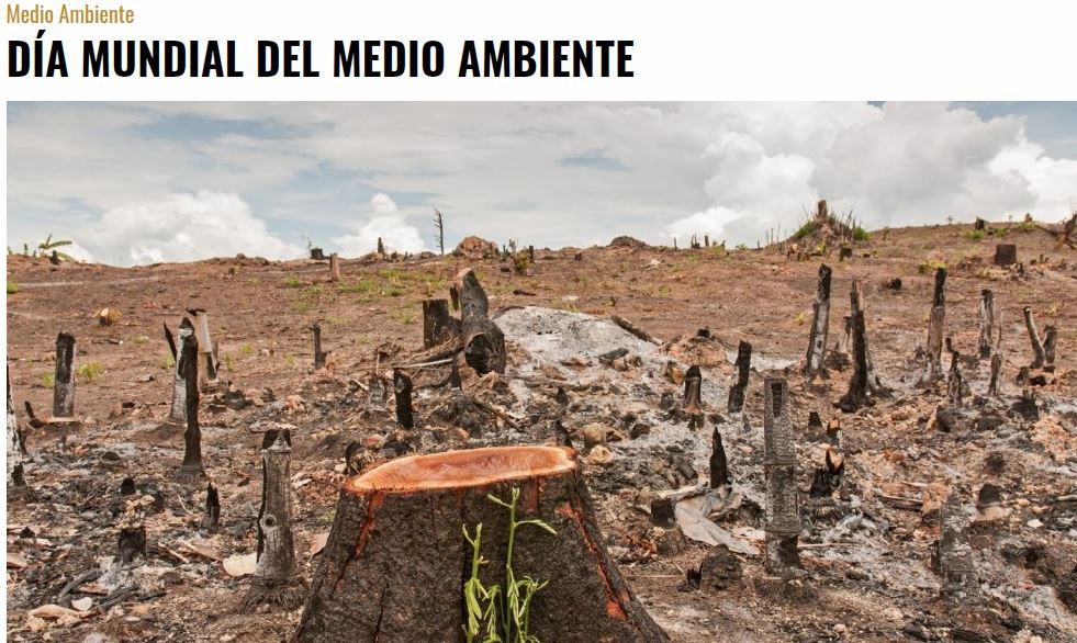 Lee más sobre el artículo DÍA MUNDIAL DEL MEDIO AMBIENTE