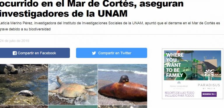 Lee más sobre el artículo “Ecocidio y crimen ambiental” el derrame ocurrido en el Mar de Cortés, aseguran investigadores de la UNAM