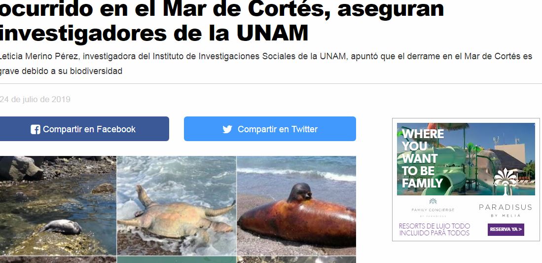 Lee más sobre el artículo “Ecocidio y crimen ambiental” el derrame ocurrido en el Mar de Cortés, aseguran investigadores de la UNAM