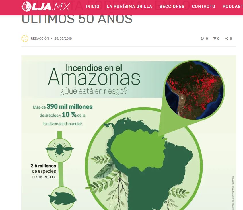 Lee más sobre el artículo Amazonas perdió 17% de su cubierta forestal en los últimos 50 años