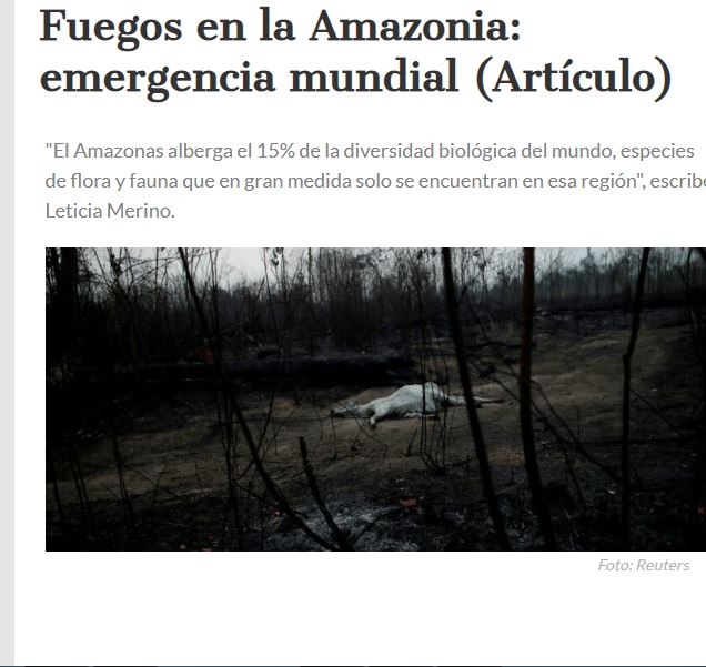 Lee más sobre el artículo Fuegos en la Amazonia: emergencia mundial