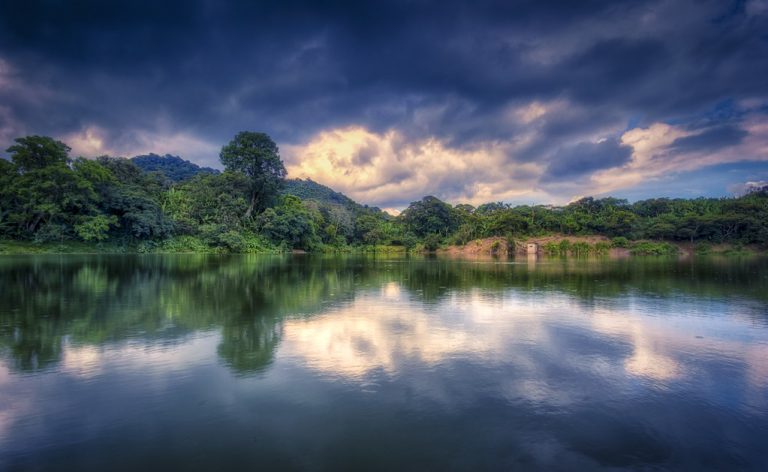 Lee más sobre el artículo Derechos de la naturaleza, un camino para la coexistencia del ser humano y el entorno natural