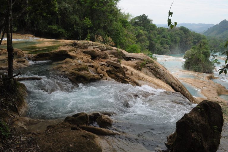 Lee más sobre el artículo Agua, derecho humano que debe ser garantizado por el Estado