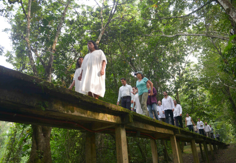 Lee más sobre el artículo Selva Lacandona, en medio de visiones divergentes sobre cómo conservar el medio ambiente