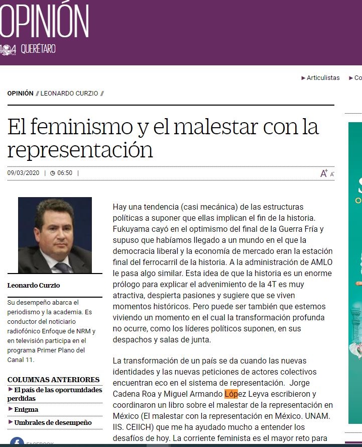 Lee más sobre el artículo El feminismo y el malestar con la representacion