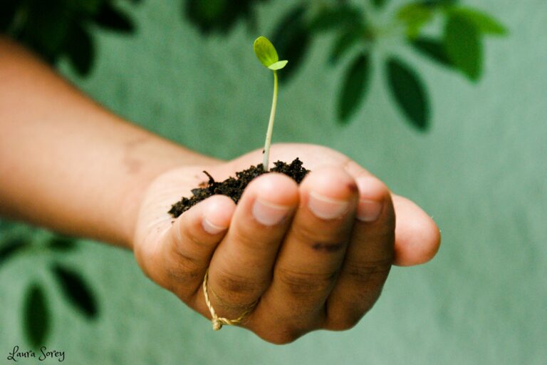 Lee más sobre el artículo El cruce entre la ecología política y el psicoanálisis, permite aproximaciones al vínculo entre seres humanos y naturaleza