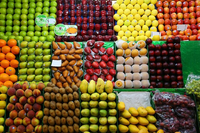 Lee más sobre el artículo COVID-19 en México: ¿de una crisis de salud a una crisis alimentaria?