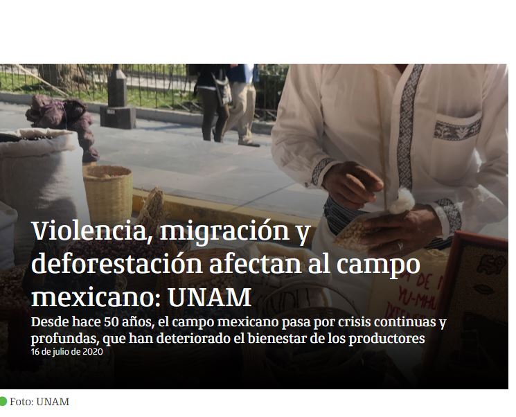 Lee más sobre el artículo Violencia, migración y deforestación afectan al campo mexicano