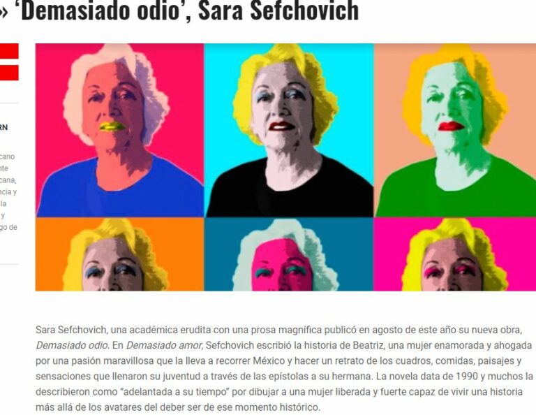 Lee más sobre el artículo Demasiado odio’, Sara Sefchovich