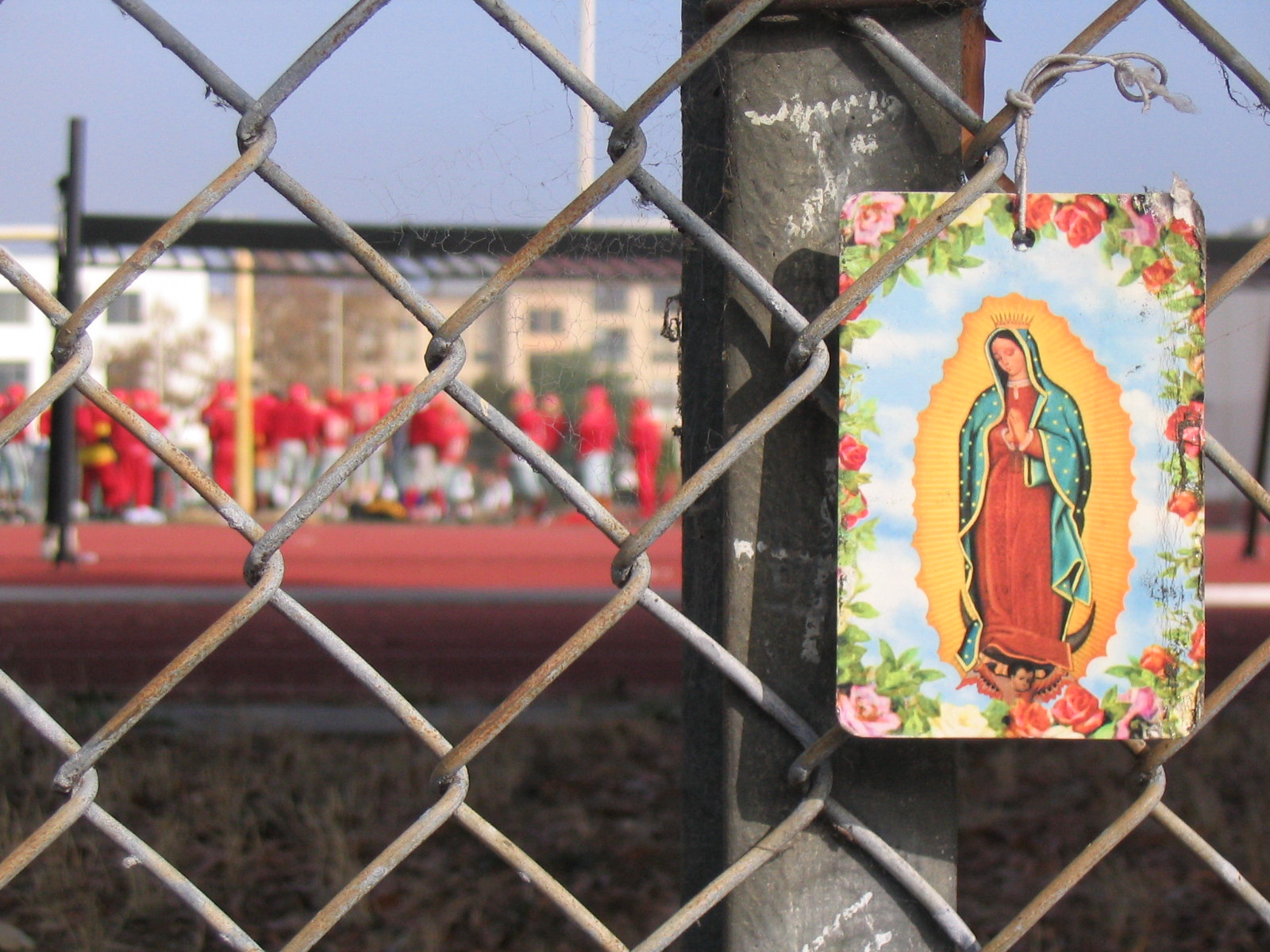 Lee más sobre el artículo Virgen de Guadalupe en La Paz