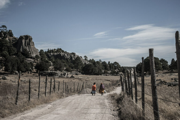 Lee más sobre el artículo Violencias contra las mujeres y la naturaleza: problemas actuales analizados por las ciencias sociales