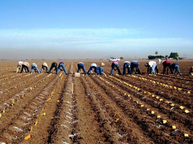 Lee más sobre el artículo Innovación agrícola y mitigación de la crisis del agua