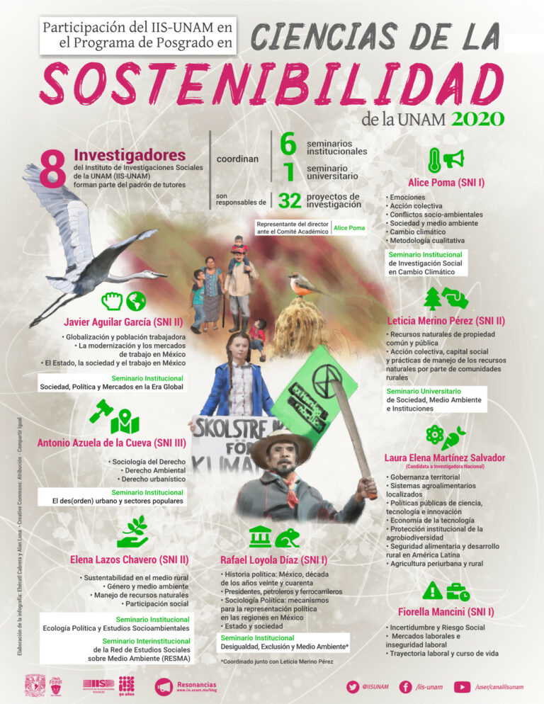 Lee más sobre el artículo Participación del IIS-UNAM en el Programa de Posgrado en Ciencias de la Sostenibilidad de la UNAM 2020