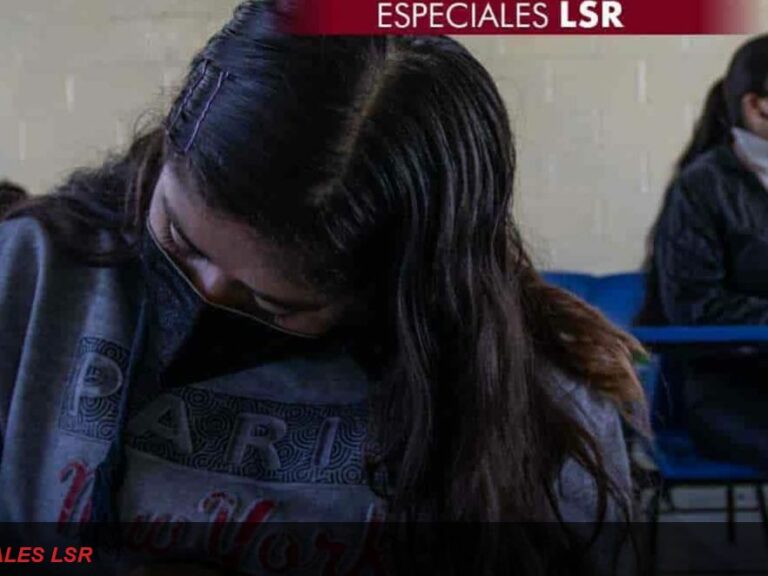 Lee más sobre el artículo ¿Qué haría falta para un regreso a clases seguro? – La Silla Rota