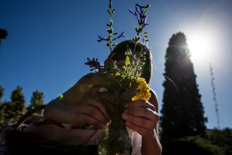 Lee más sobre el artículo Ecología Política Feminista, más allá de los nexos conocidos entre cambio climático y género