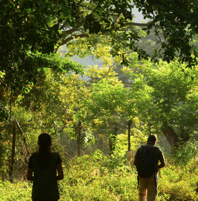 Lee más sobre el artículo Selva del Marinero, ecoturismo campesino para defender la Reserva de la Biosfera Los Tuxtlas