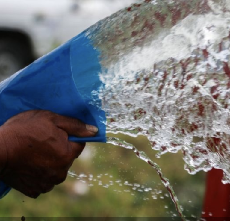 Lee más sobre el artículo ¿“Comemos” más agua de la que bebemos? Te explicamos por qué