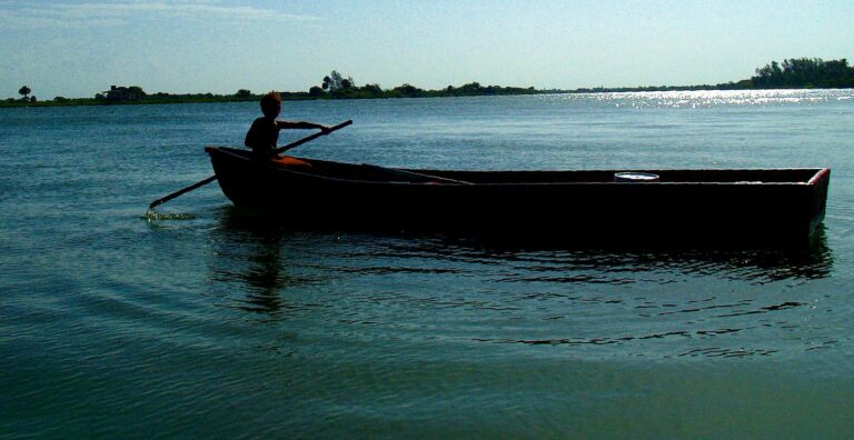 Lee más sobre el artículo Comisión del Papaloapan, experiencia pionera de conservación socioambiental