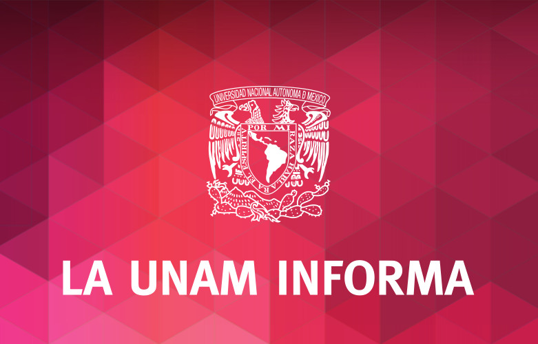 Unam Info Instituto De Investigaciones Sociales 0553